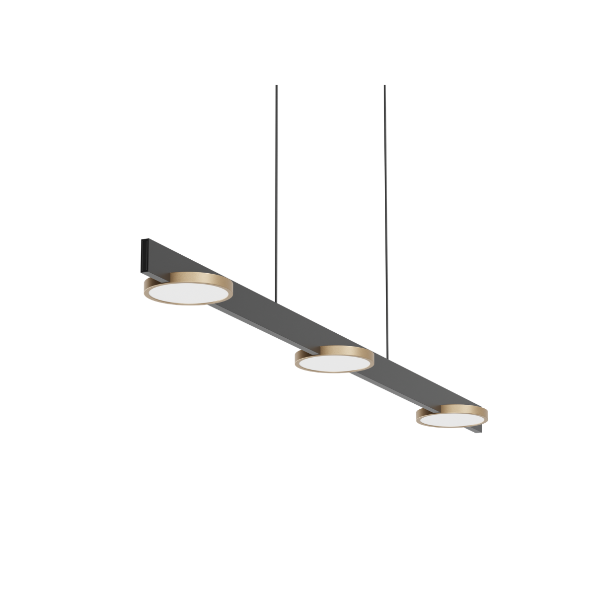 Coin Rail Pendant Light